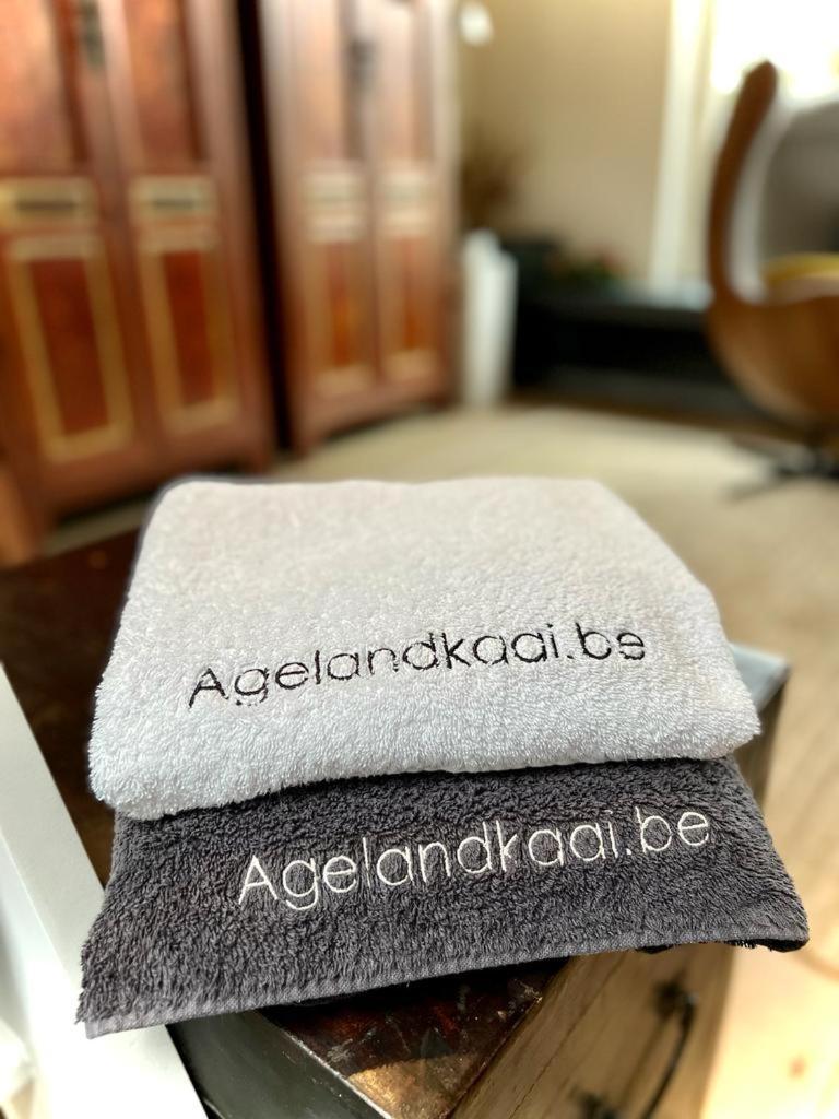 Ferienwohnung La Belletage By Agelandkaai Be With Free Parking Gent Exterior foto