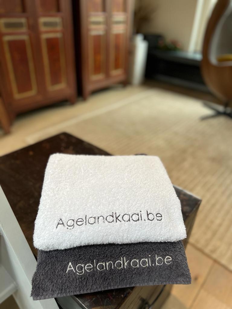 Ferienwohnung La Belletage By Agelandkaai Be With Free Parking Gent Exterior foto