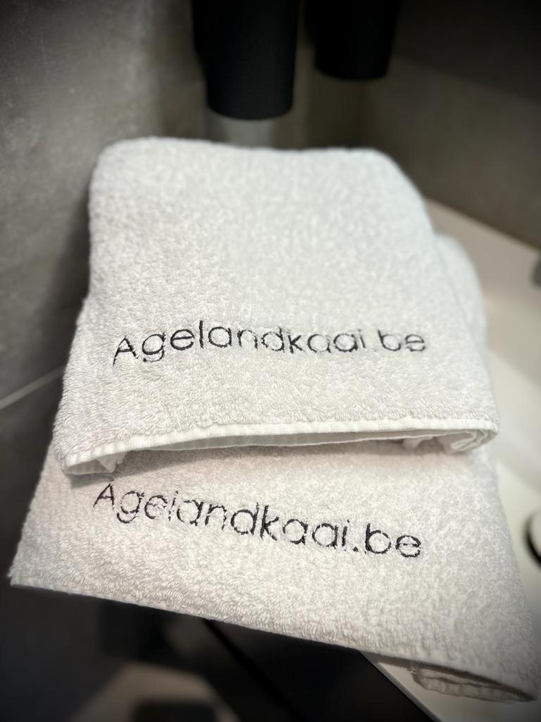 Ferienwohnung La Belletage By Agelandkaai Be With Free Parking Gent Exterior foto