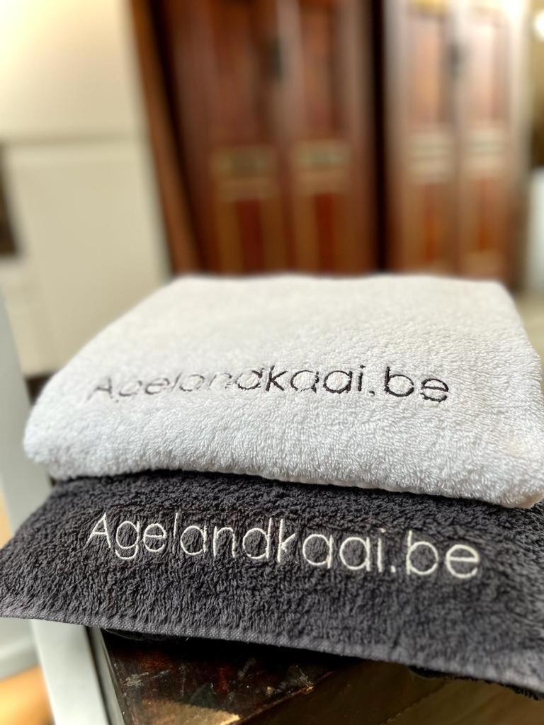 Ferienwohnung La Belletage By Agelandkaai Be With Free Parking Gent Exterior foto