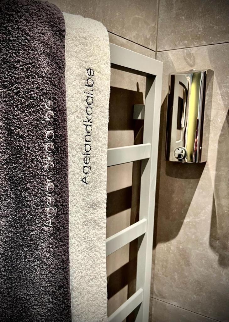 Ferienwohnung La Belletage By Agelandkaai Be With Free Parking Gent Exterior foto